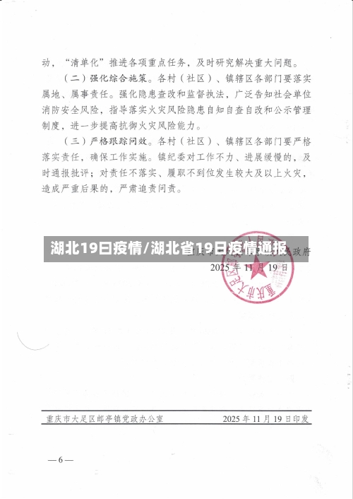 湖北19曰疫情/湖北省19日疫情通报