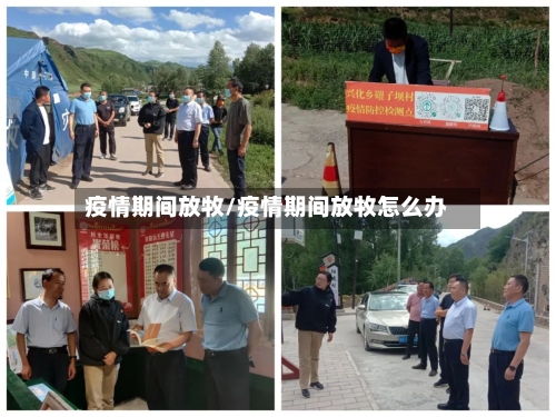 疫情期间放牧/疫情期间放牧怎么办-第2张图片