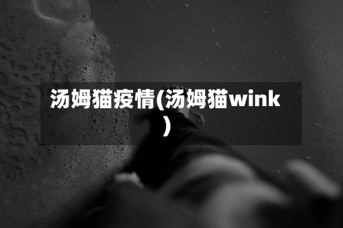汤姆猫疫情(汤姆猫wink)-第2张图片