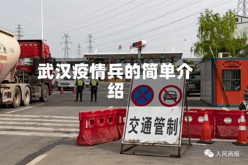 武汉疫情兵的简单介绍-第3张图片