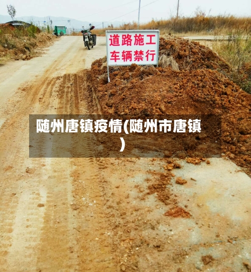 随州唐镇疫情(随州市唐镇)