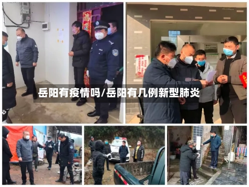 岳阳有疫情吗/岳阳有几例新型肺炎