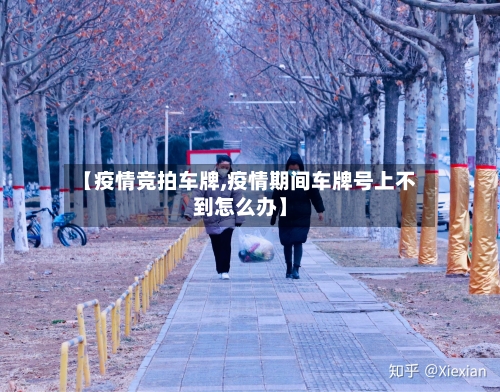 【疫情竞拍车牌,疫情期间车牌号上不到怎么办】
