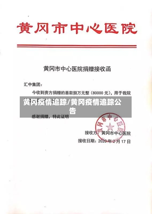 黄冈疫情追踪/黄冈疫情追踪公告