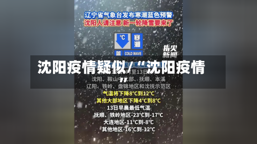 沈阳疫情疑似/“沈阳疫情”-第2张图片