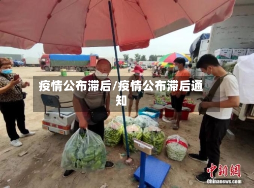疫情公布滞后/疫情公布滞后通知