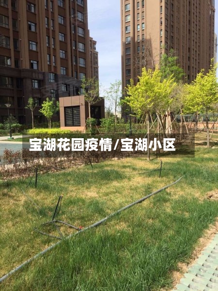 宝湖花园疫情/宝湖小区-第2张图片
