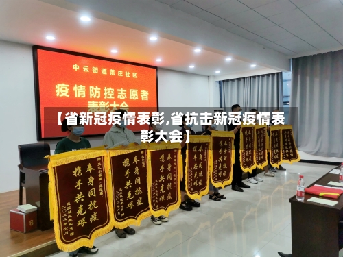 【省新冠疫情表彰,省抗击新冠疫情表彰大会】