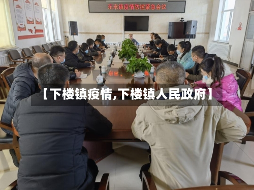 【下楼镇疫情,下楼镇人民政府】