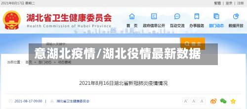 意湖北疫情/湖北役情最新数据-第3张图片