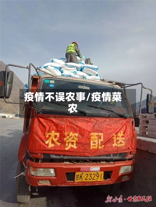 疫情不误农事/疫情菜农