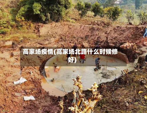 高家场疫情(高家场北路什么时候修好)-第3张图片