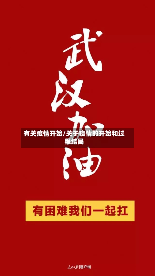 有关疫情开始/关于疫情的开始和过程结局-第2张图片