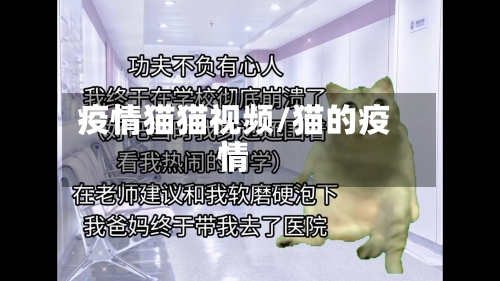 疫情猫猫视频/猫的疫情-第2张图片