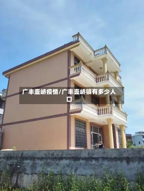 广丰壶峤疫情/广丰壶峤镇有多少人口
