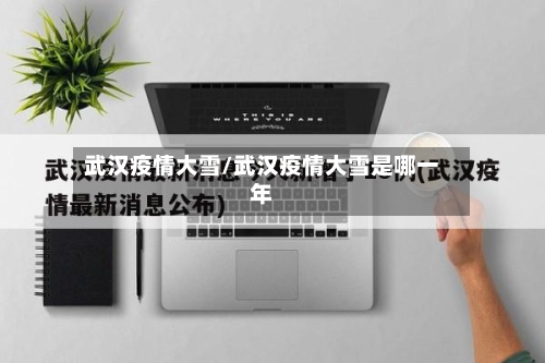 武汉疫情大雪/武汉疫情大雪是哪一年