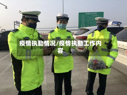 疫情执勤情况/疫情执勤工作内容