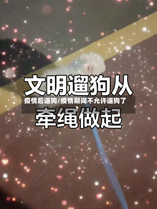 疫情后遛狗/疫情期间不允许遛狗了?