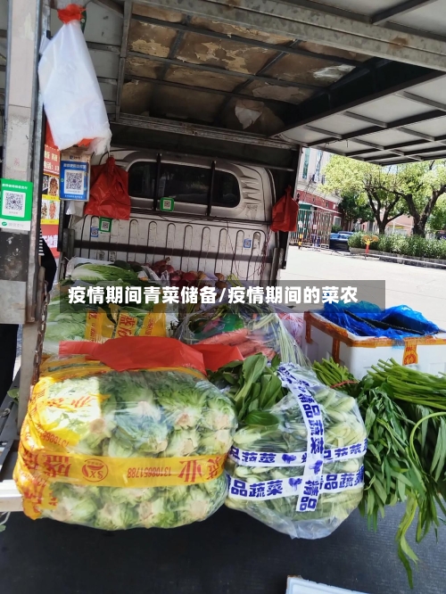 疫情期间青菜储备/疫情期间的菜农