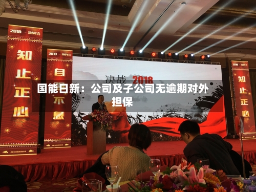 国能日新：公司及子公司无逾期对外担保