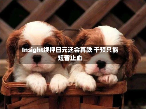 Insight续押日元还会再跌 干预只能短暂止血