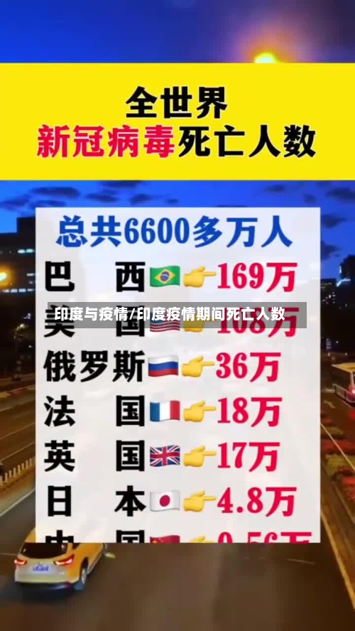印度与疫情/印度疫情期间死亡人数