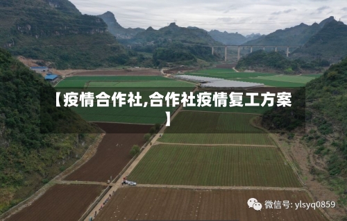 【疫情合作社,合作社疫情复工方案】