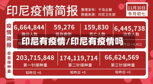 印尼有疫情/印尼有疫情吗