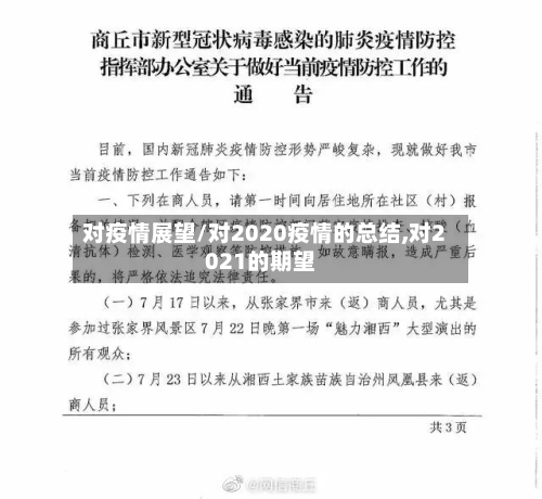 对疫情展望/对2020疫情的总结,对2021的期望