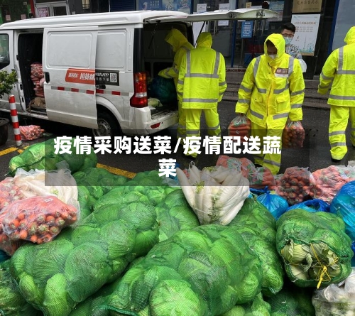 疫情采购送菜/疫情配送蔬菜