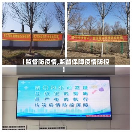 【监督防疫情,监督保障疫情防控】