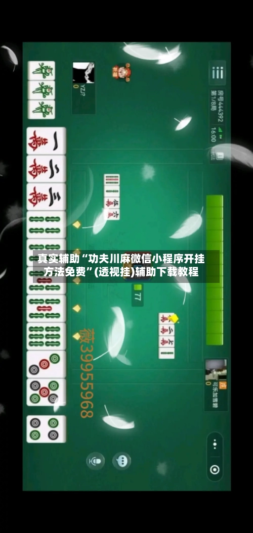 真实辅助“功夫川麻微信小程序开挂方法免费”(透视挂)辅助下载教程