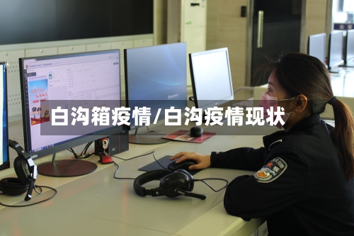 白沟箱疫情/白沟疫情现状