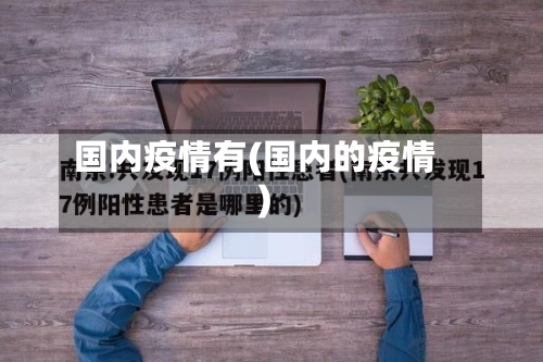 国内疫情有(国内的疫情)