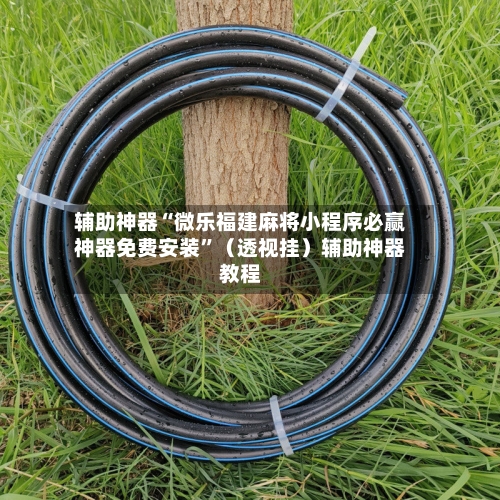 辅助神器“微乐福建麻将小程序必赢神器免费安装”（透视挂）辅助神器教程