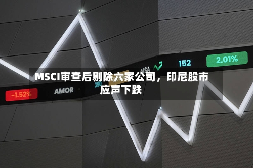 MSCI审查后剔除六家公司,印尼股市应声下跌
