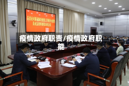 疫情政府职责/疫情政府职能