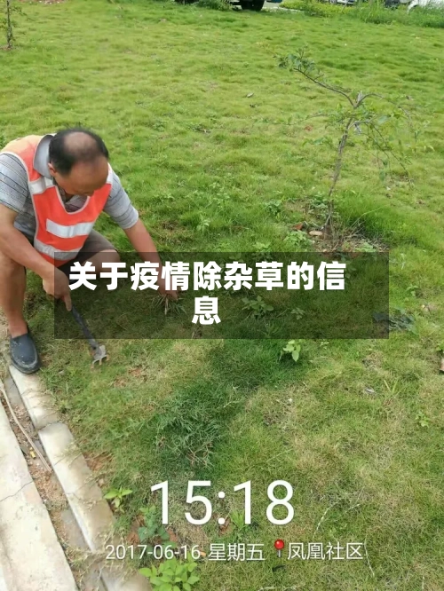 关于疫情除杂草的信息