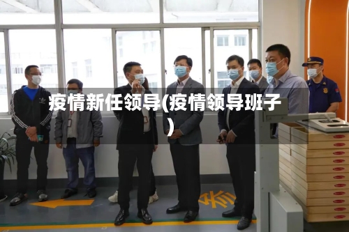 疫情新任领导(疫情领导班子)