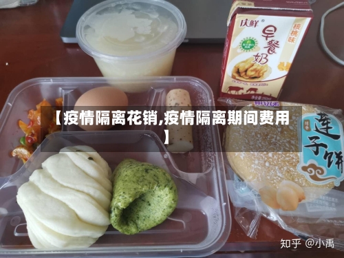 【疫情隔离花销,疫情隔离期间费用】