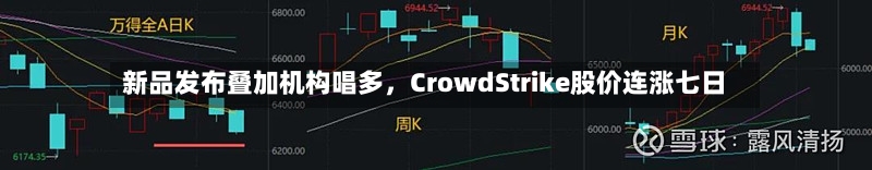 新品发布叠加机构唱多，CrowdStrike股价连涨七日