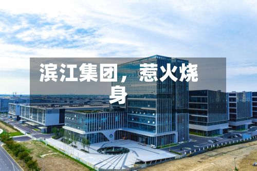 滨江集团,惹火烧身