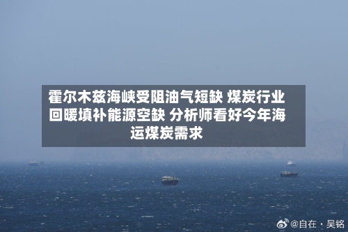 霍尔木兹海峡受阻油气短缺 煤炭行业回暖填补能源空缺 分析师看好今年海运煤炭需求
