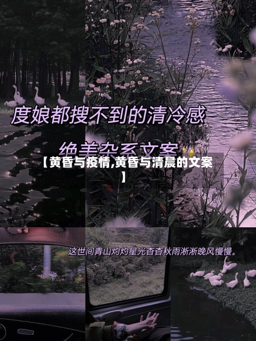 【黄昏与疫情,黄昏与清晨的文案】