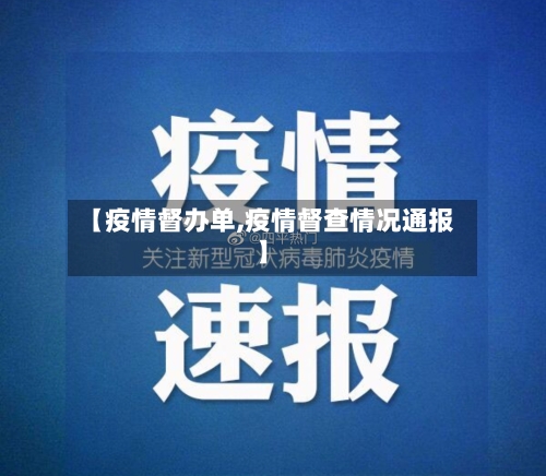 【疫情督办单,疫情督查情况通报】