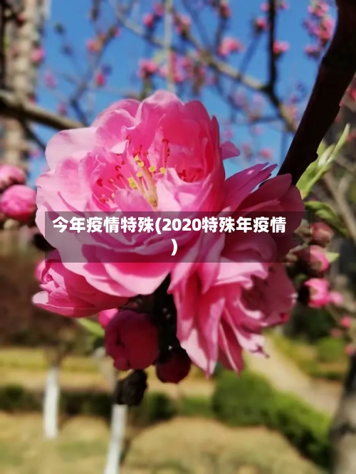 今年疫情特殊(2020特殊年疫情)