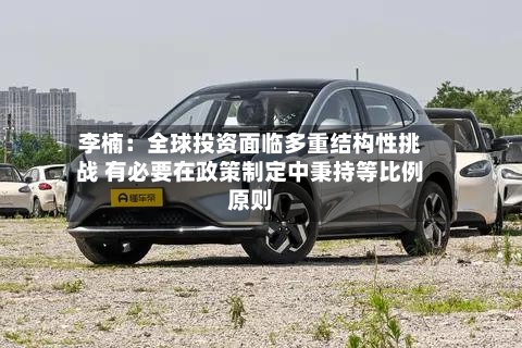 李楠：全球投资面临多重结构性挑战 有必要在政策制定中秉持等比例原则