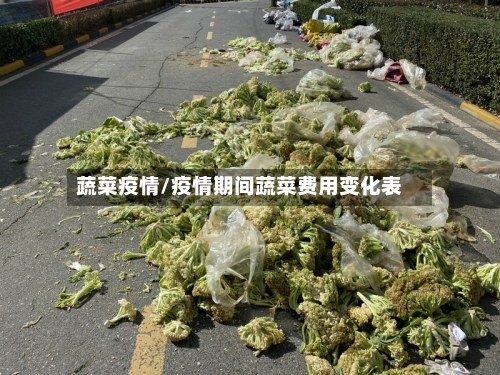 蔬菜疫情/疫情期间蔬菜费用变化表
