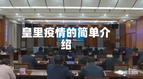 皇里疫情的简单介绍