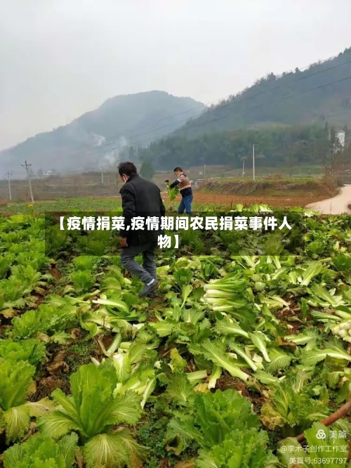 【疫情捐菜,疫情期间农民捐菜事件人物】